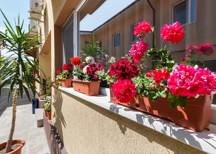 Casa Dinii